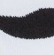 Mustache