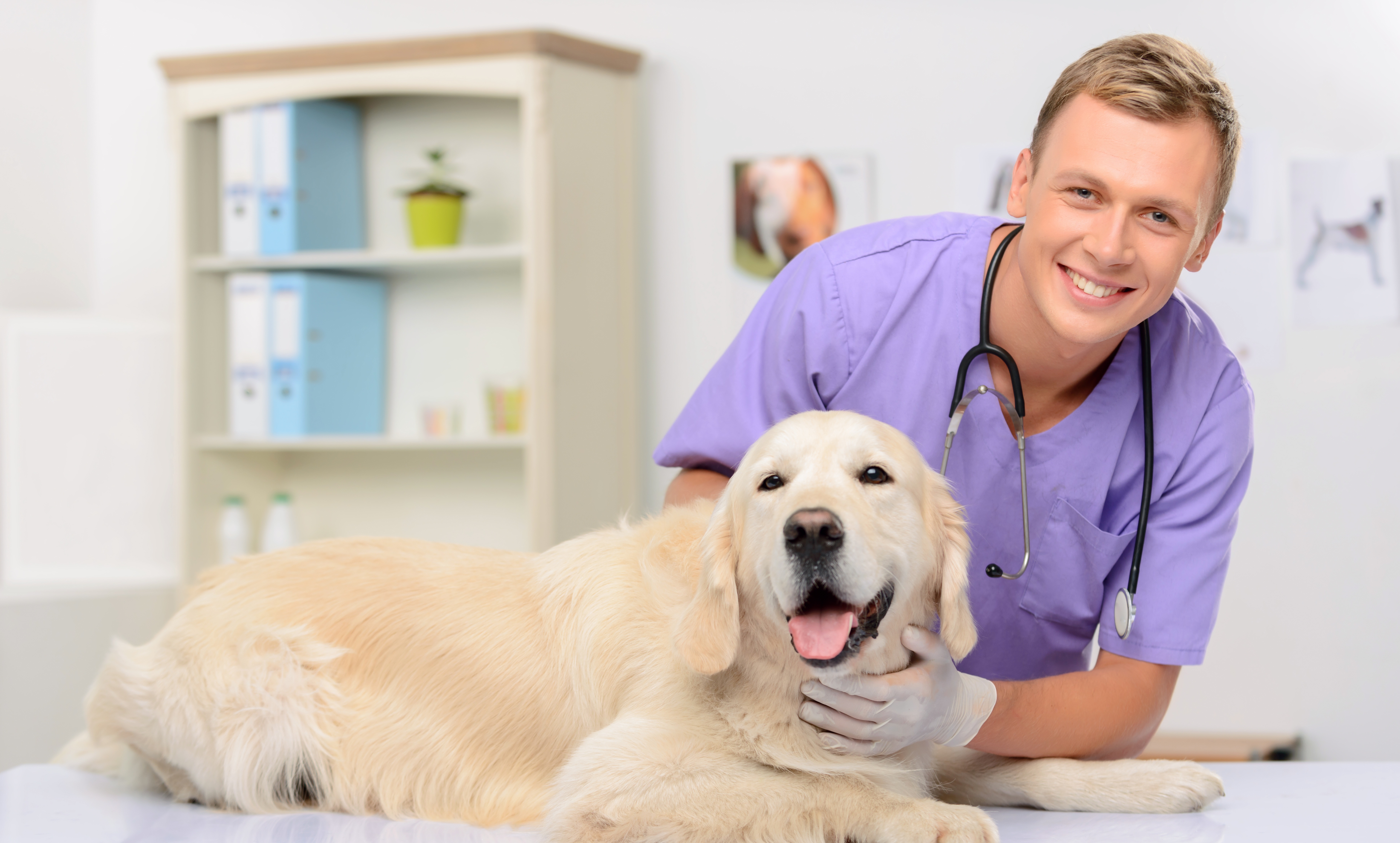 Veterinarian and pooch