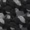 Black Woven