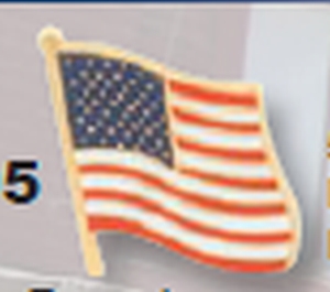 Buy/Shop Flag Pins – Emblems and Insignia Online in CA – Banner