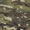 Multicam