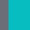 Gray/Green Aqua (GG)