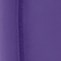 PRETTY N PURPLE (PYNP)