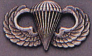 1544_Rothco Parawing Pin-Rothco