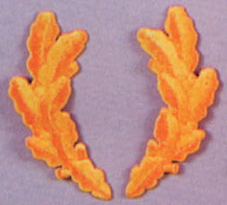 1599_Scrambled Eggs Military Patch-Rothco