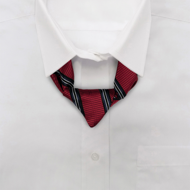 Venetian Blinds ED2 Scarlet Red/Black/Winter White