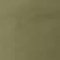 Deep Lichen Green