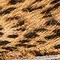 MINI CHEETAH HAIR ON