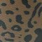 OCELOT PRINT