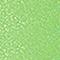 Prime Line-DA-Purple/Lime Grn