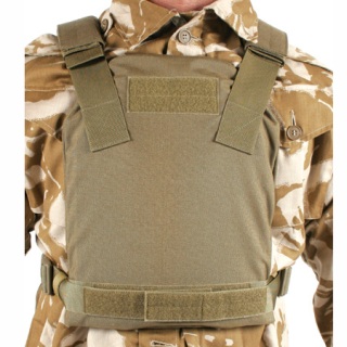 Low Vis Plate Carrier-Blackhawk