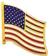 American Flag Pin-Blackinton Insignia and Recognition