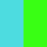 CYAN/NEON GREEN
