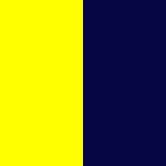 LEMON/DARK NAVY