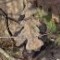 Mossy Oak BreakUp