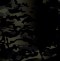 Multicam Black/ Black