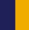 NAVY/GOLD