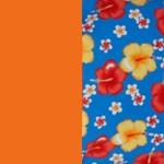 ORANGE/HIBISCUS