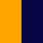 Orange/Navy