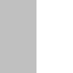 SILVER/WHITE