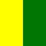 Yellow/Green