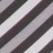 Silver Stripe